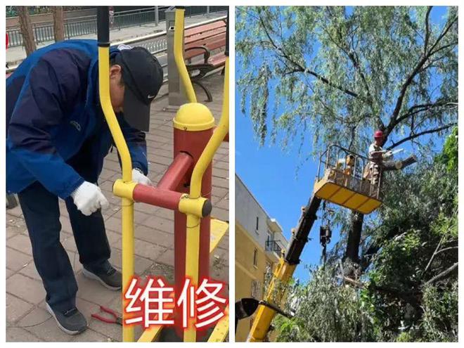口的“爆改”打造多彩龙腾苑六区社区凯发k8国际登录“六色助力”！家门(图4)