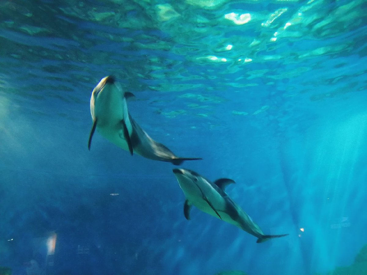 亲子游好去处推荐2025国庆重庆(图2)