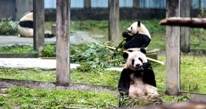 亲子游好去处推荐2025国庆重庆(图3)