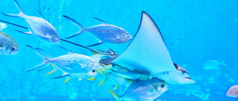 亲子游好去处推荐2025国庆重庆(图4)